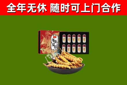 红桥烟酒回收冬虫夏草礼盒.jpg