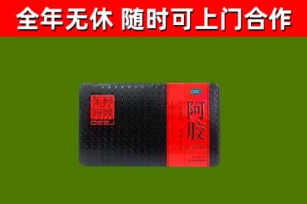 红桥回收阿胶