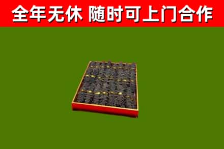 红桥回收海参